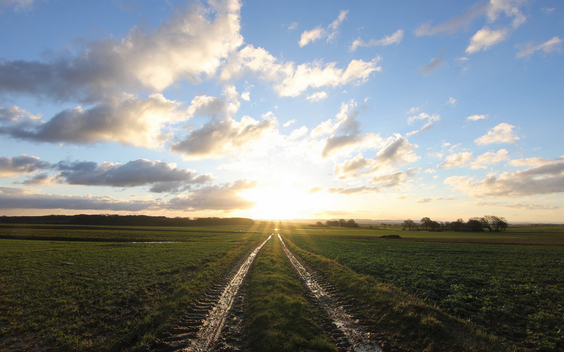 Calmness and Other Priceless Things: An American Student’s Journey to Islam