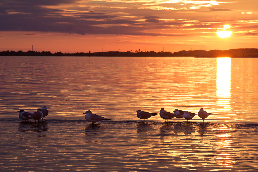 nature-sunrise