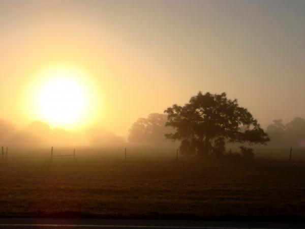 sunrise and sunset