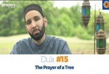 Prayers of the Pious 15- The Prayer of a Tree