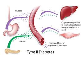 Fasting and Overall Health