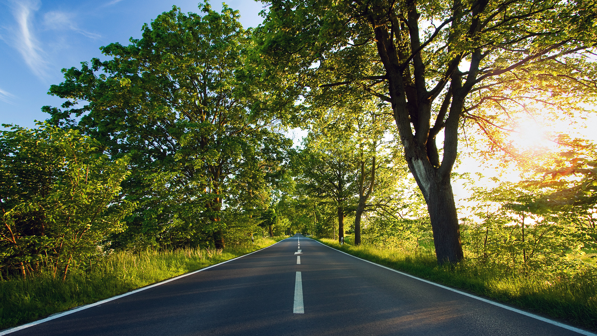 road_nature